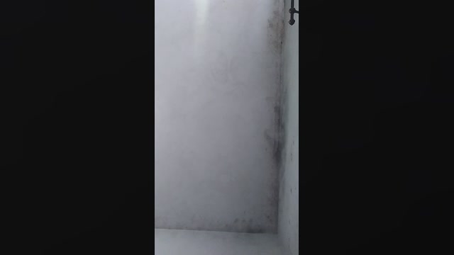 gabibabebrasil  01-09-2022